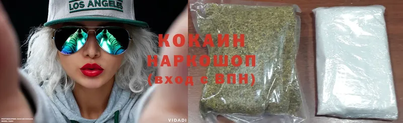 Cocaine Fish Scale  где можно купить наркотик  Красный Кут 