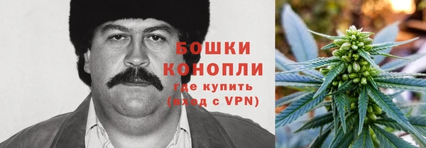 индика Нягань