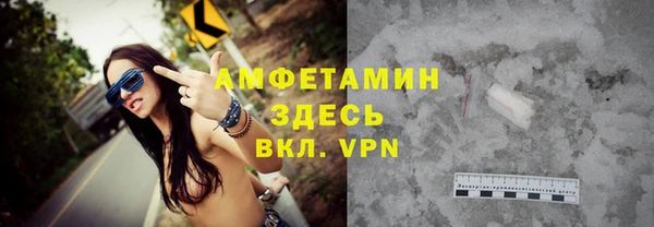 индика Нягань