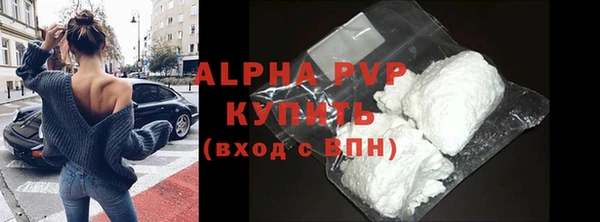 индика Нягань