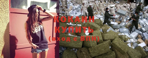 ALPHA PVP Осинники
