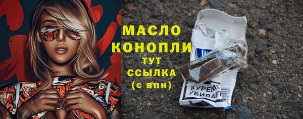 индика Нягань