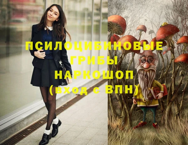 индика Нягань