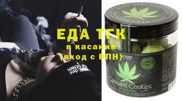 индика Нягань